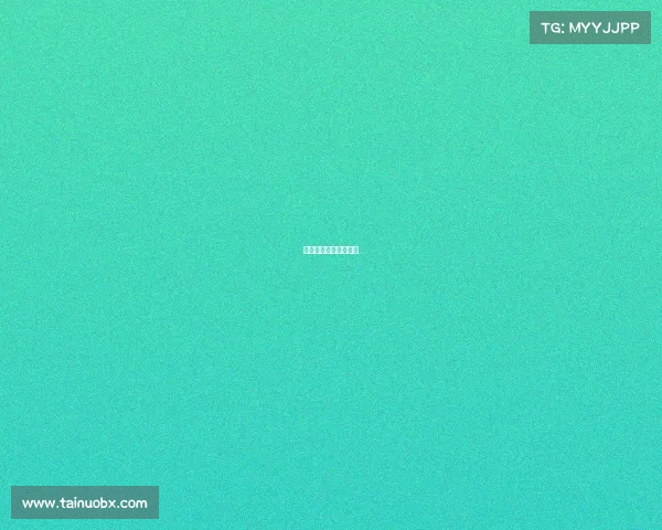 散打冠军比赛视频大全